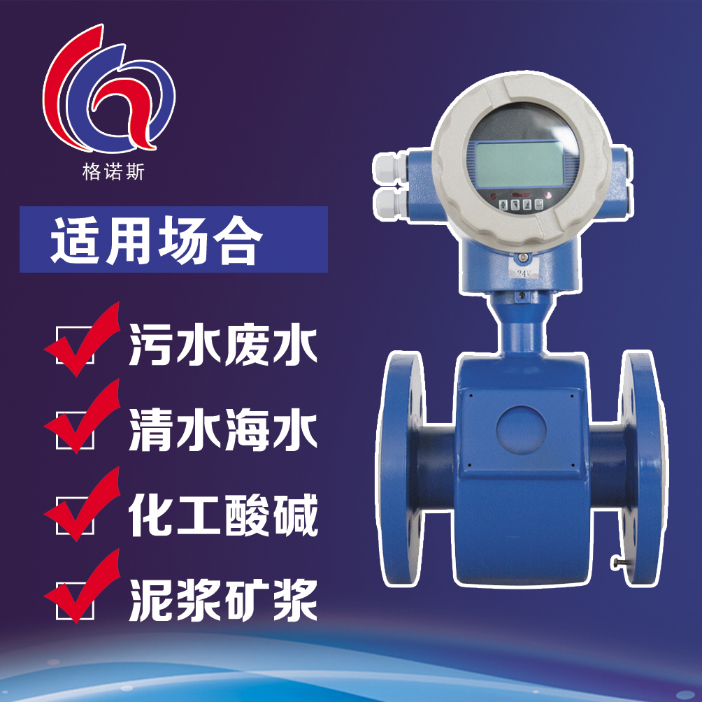 GNSLDE電磁流量計（配套蘭申轉換器）